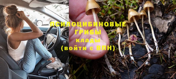 PSILOCYBIN Абаза
