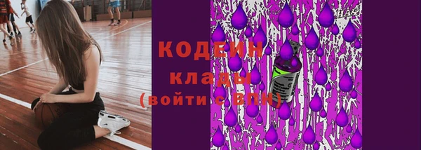 прущие крисы Коряжма