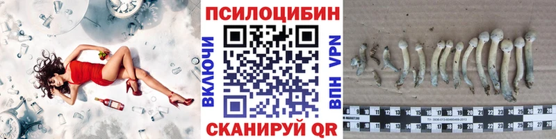 Галлюциногенные грибы мухоморы Сычёвка